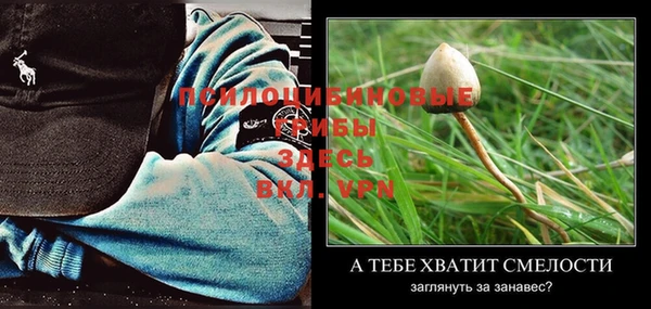 прущие крисы Балахна