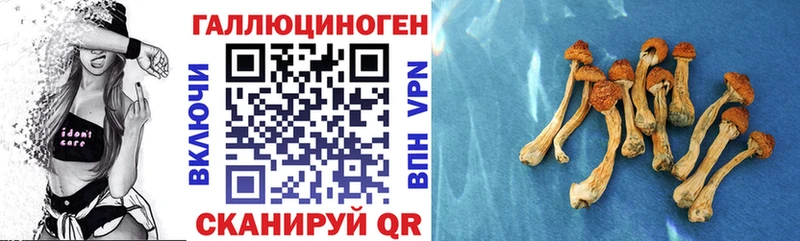 Псилоцибиновые грибы мухоморы  магазин    Ленск 